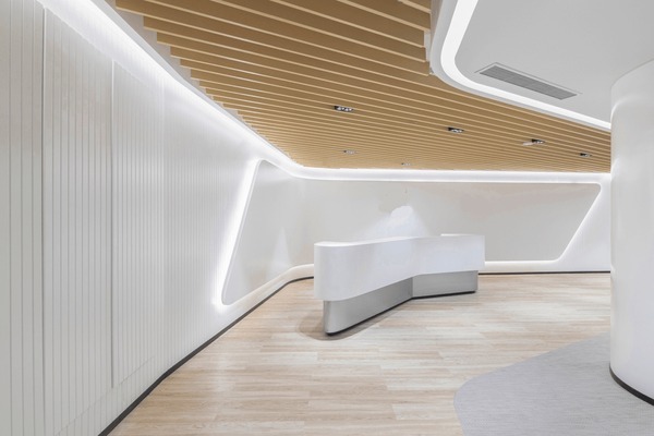 革命历史档案整理服务（基础版）